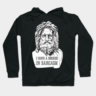 I have a degree in sarcasm. Hoodie